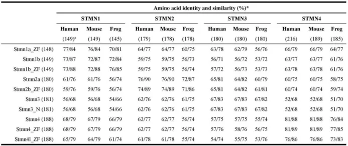 Fig. S1. Sequence alignment of stathmin 1b. A: Nucleotide sequences. B: Amino acid sequences