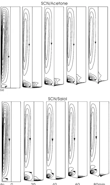 Fig. 2. Interface evolution of vertical Bridgman growth of SCN containing:
