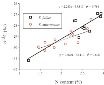 Fig. 4. Relationships between monthly average of leaf (or  culm) nitrogen contents and δ 13 C value of S