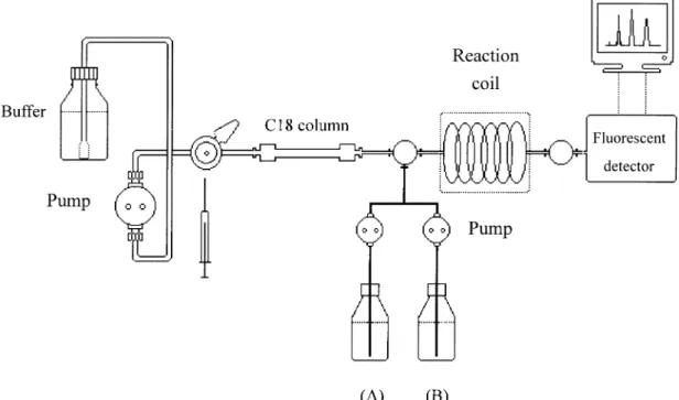 Fig. 1. High-performance liquid chromatography (HPLC) system for paralytic shellﬁsh poisoning (PSP) toxins analysis.