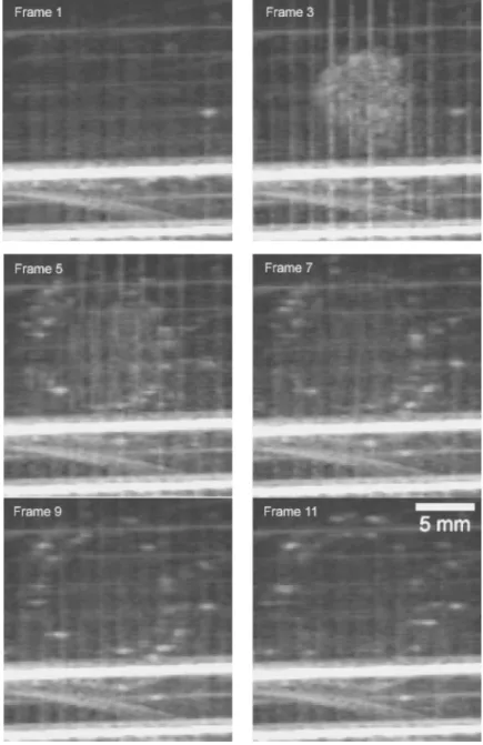 FIG. 6. The beam pattern of a 1.1 MHz HIFU trans- trans-ducer was visualized by bubbles generated by inertial cavitation 共frame 3兲