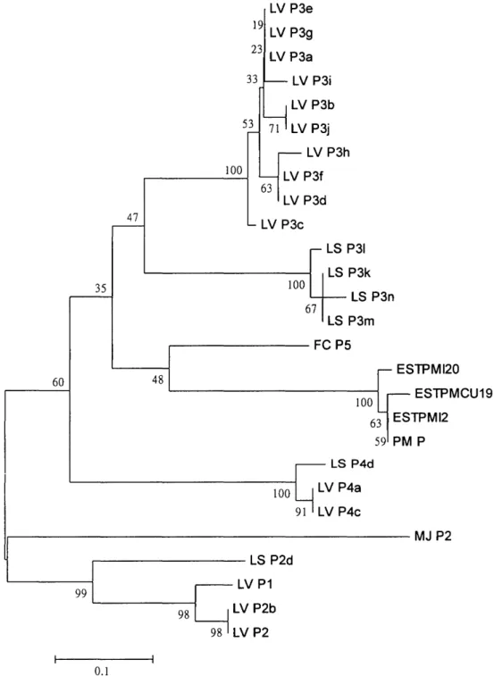 Fig. 4. A comparison of 27 penaeidins based on a neighbor-joining analysis of their amino acid or deduced amino acid sequences
