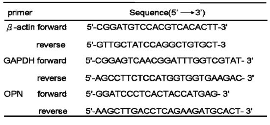 Table 1.  本研究中所使用的引子 DNA oligonucleotides 序列。 