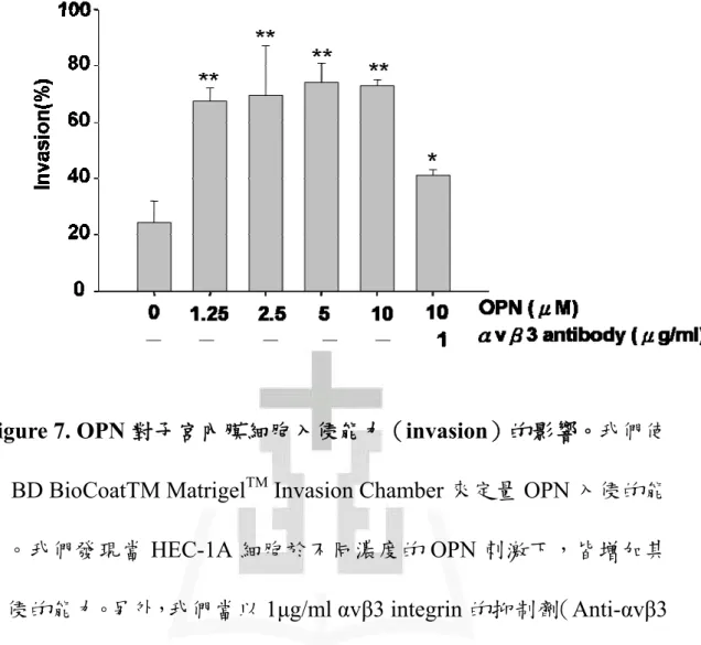 Figure 7. OPN 對子宮內膜細胞入侵能力（invasion）的影響。我們使