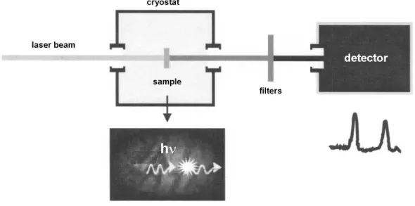 Fig. 4. General scheme of a low-temperature single molecule spectroscopy experiment.