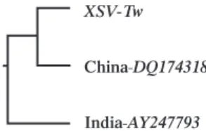 Figure 4 Phylogenetic neighbour-joining tree deduced from analysis nucleotide sequences of partial genome of extra small virus from different geographical isolates.