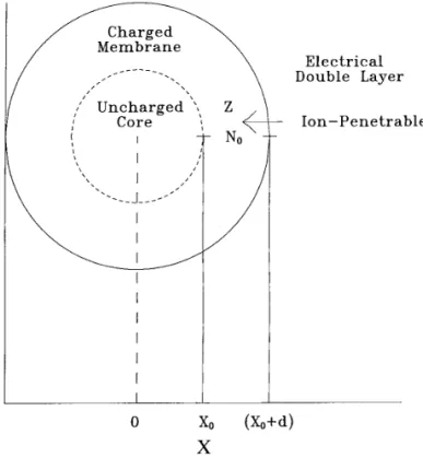 FIG. 1. A schematic representation of the structure of a particle under consideration