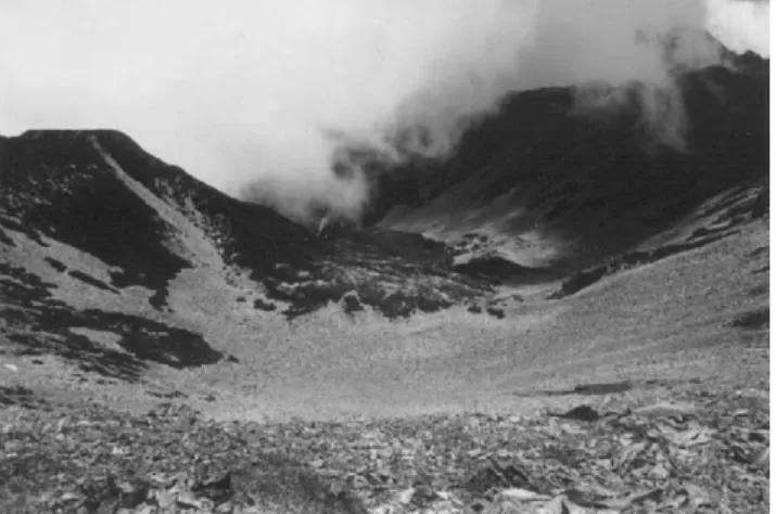 Fig. 7. The glacial moraine at the ‘‘369’’ mountain refuge 3200 m a.s.l.