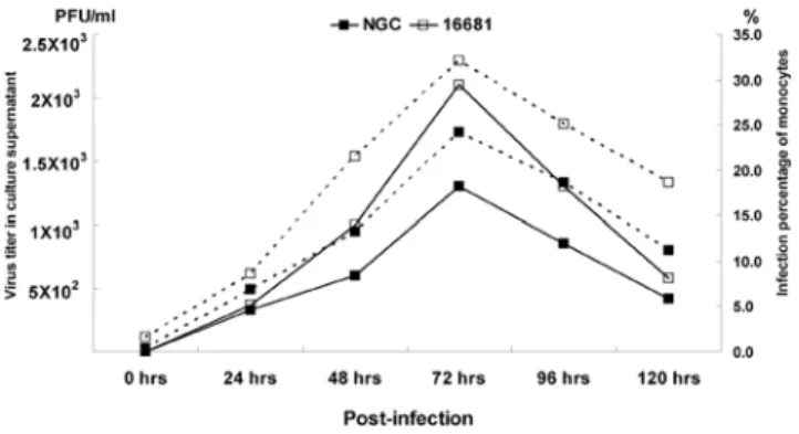 Figure 2. Detection of DENV in infected monocytes from one healthy control by using immunofluorescence staining