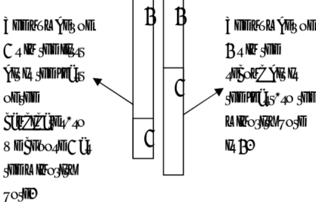 Fig. 2 The result of using the minority vote technique,  the output is “00”, we can see that “00”and “11”have  the  same  hamming  distance  with  the  ideal  solution”10”,  therefore  we  choose  the  first  choice 