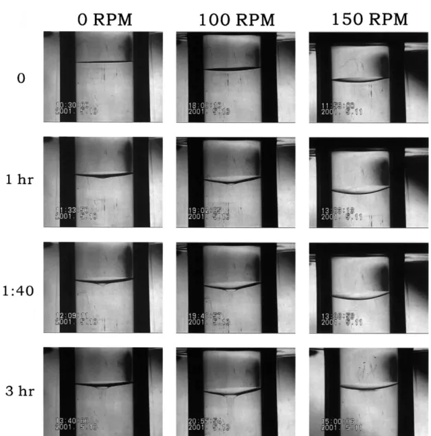 Fig. 2. Interface evolution at different rotation speeds.