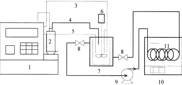 Fig. 1. Schematic of experimental apparatus. 1 Autotitrator, 2 HCl bottle, 3 pH probe wire, 4 HCl titrant