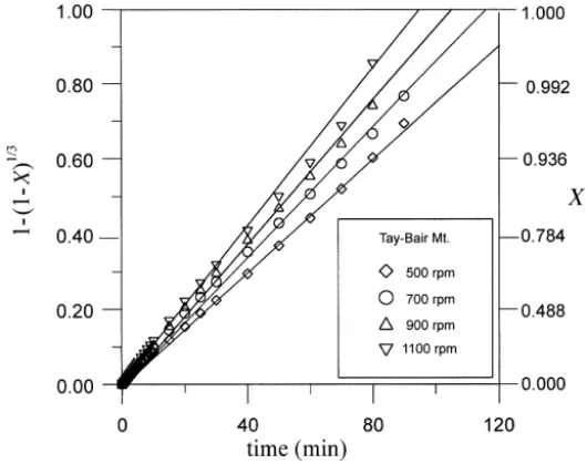 Fig. 3. Plot of 1y 1y X vs. time for Tai-Bair Mt. limestone dissolution at pH 4 and 608C for 0.15 g limestone in 250 ml 0.1 M CaCl 