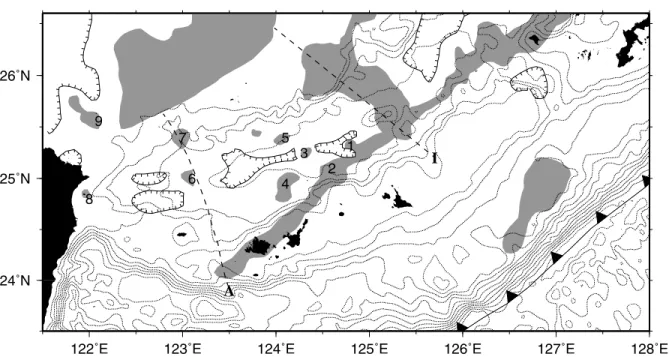 Fig. 6. (a) (Upper) Detailed magnetic anomalies from Hsu et al. (1998) and Sibuet et al