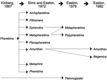 Fig. 1.  Change of the taxonomic status of the Pheretima group.