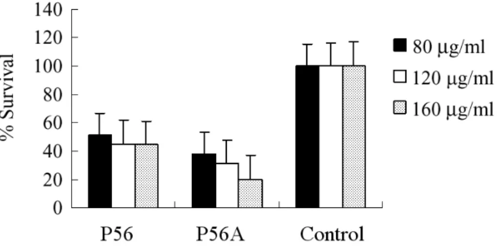 Fig. 4. Cytotoxic effect of P56 and P56A on mouse macrophage Raw264.7 cell line. The Raw264.7 cells were cultured in RPMI 1640 medium  containing different amounts of P56 and P56A