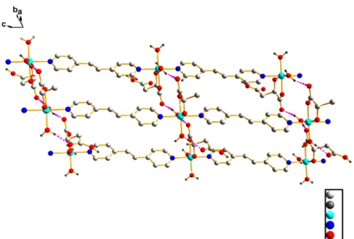 Fig. 2. Two-dimensional sheet in compound 1 formed through hydrogen bonding between uncoordinated carboxylate group of malic acid and coordinated water molecules in the b axis