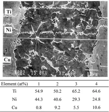 Fig. 6. The BEI and EDS chemical analyses of the specimen brazed at 960 8C for 30 s.
