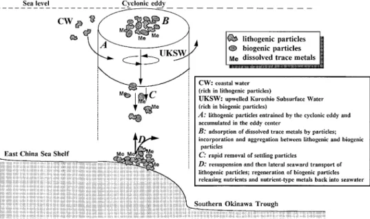 Figure 7. Scheme of a series of interactions and sequential transport for lithogenic particulates and biogenic material probably occurring throughout the water column around the eddy, illustrating that the eddy may be an important conduit for transportings