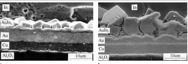 Fig. 4. Appearance of granular intermetallic compounds formed during In/Au interfacial reactions