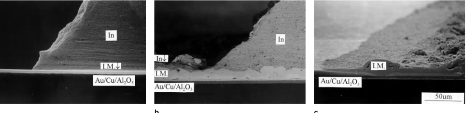Fig. 10. SEM observations of the wetting behavior of indium solder on the Au-deposited substrate: (a) quasi-wetting stage, 300 ° , 3 min;  (b) formation of precursor halo, 300°C, 45 min; and (c) final wetting stage, 300°C, 120 min.