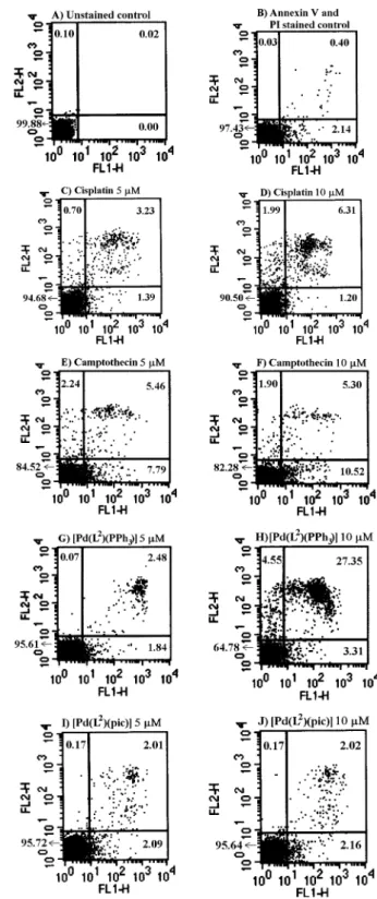 Fig. 7 Flow cytometric analysis of apoptosis and necrosis in HL-60 cells after treatment with four drugs or complexes at two diﬀerent concentrations
