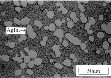 Fig. 1. The microstructure of as-cast In10Ag solder.