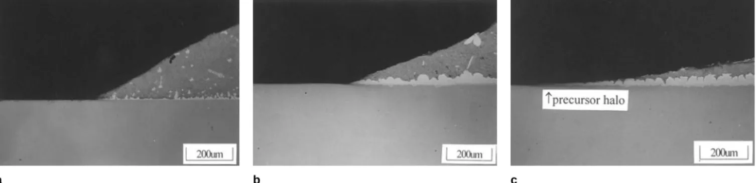 Fig. 9. SEM observations of the cross section of the In10Ag solder drop on an Ag substrate during the wetting process at (a) 300°C, 7 min (the initial wetting stage, with the collapse of the solder drop); (b) 300 ° C, 40 min (the quasi-stable stage, with t