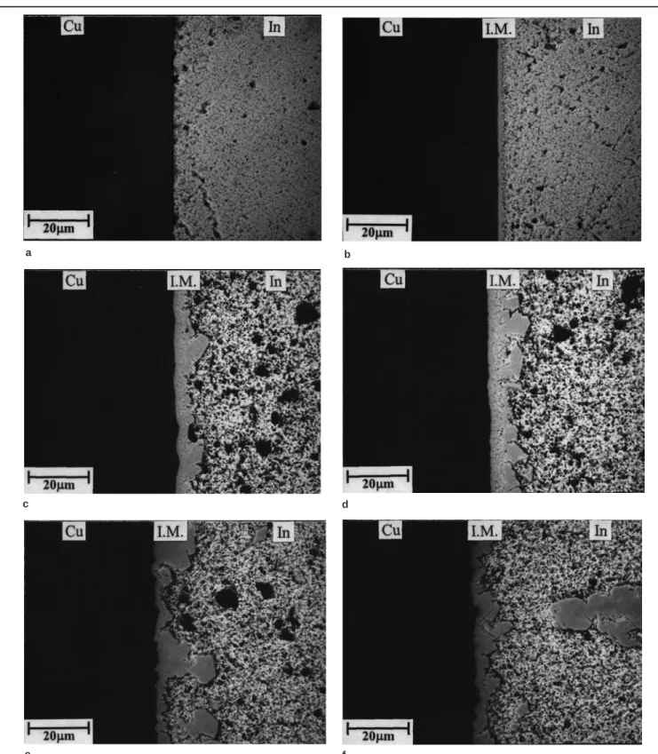 Fig. 1. Microstructures of intermetallic compounds after Cu/In interfacial reactions at various temperatures for 15 min: (a) 175°C, (b) 200°C, (c) 250°C, (d) 300°C, (e) 350°C, and (f) 400°C.