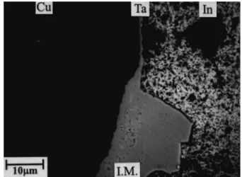 Fig. 2. Micrograph of the intermetallic compound formed at the Cu/In interface after soldering reaction at 250°C for 120 min with the In solder selectively etched.