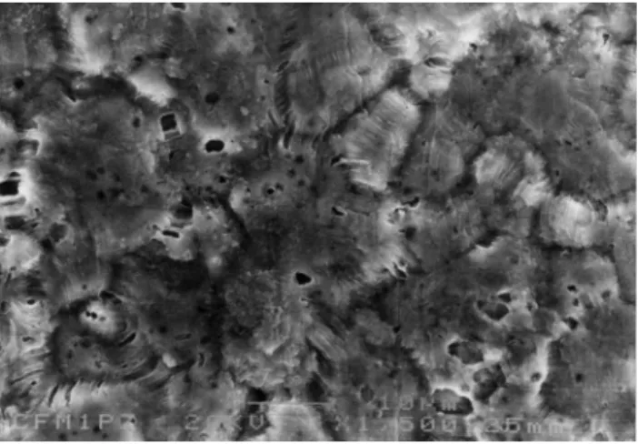 Fig. 18. Typical SEM micrograph of the surface topography observed from a SPFed 8090 Al-Li-Cu-Mg superplastic thin sheet after a thickness strain of 1.0
