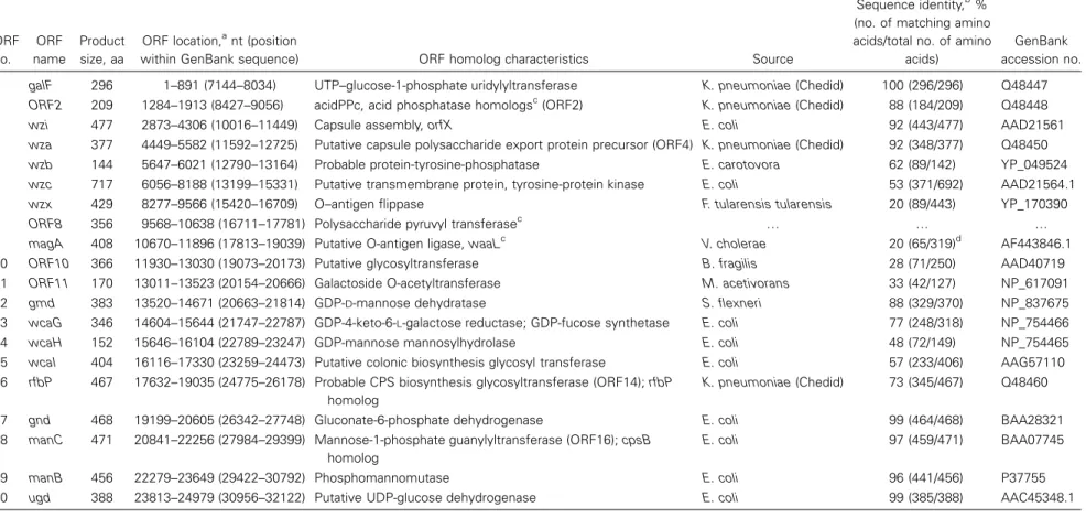 Table 4. Annotation of open reading frames (ORFs) of capsular polysaccharide synthesis (cps) loci in NTUH-K2044