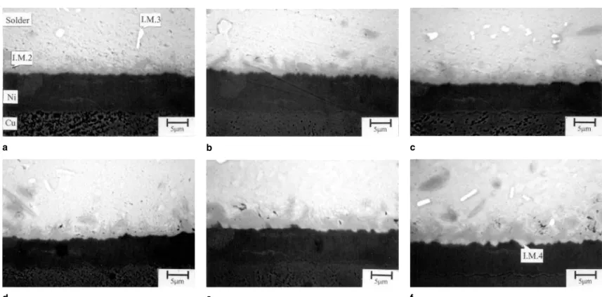 Fig. 4. Morphology of intermetallic compounds formed after burn-in tests of the Sn-20In-0.8Cu BGA solder specimens under various aging con- con-ditions: (a) 75°C, 100 h; (b) 75°C, 300 h; (c) 75°C, 700 h; (d) 115°C, 100 h; (e) 115°C, 300 h; and (f) 115°C, 7