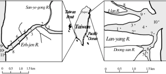 Fig. 1.  Study area and sampling stations. 