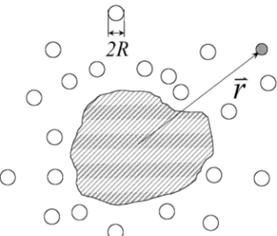 Fig. 1. Schematic representation of the system under consideration where the open circles represent the colloidal particles and the shaded area a relatively large object