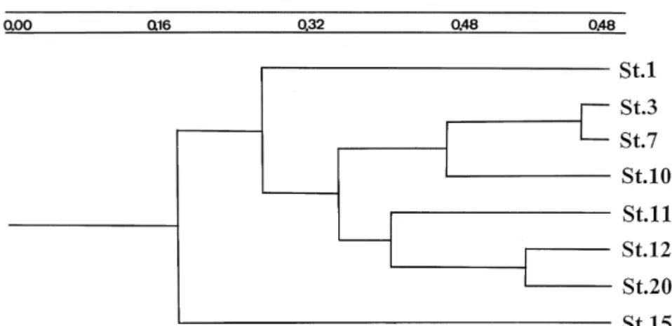 Fig. 4. Dendrogram of station associations calculated from Spearman’s rank correlation coefficients showing the degree of similarity in copepod faunas between stations.
