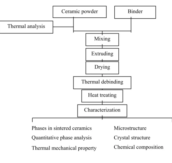 Fig. 2. Flow chart of experimental procedures. 