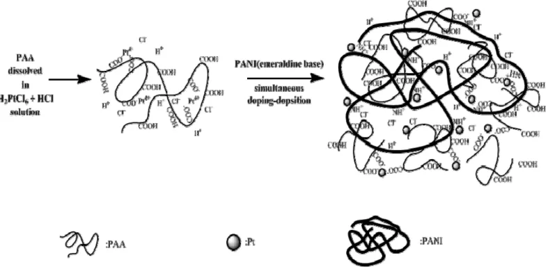 Figure 5. Schematic illustration for the formation of PANI-(PAA+HCl)-Pt. 