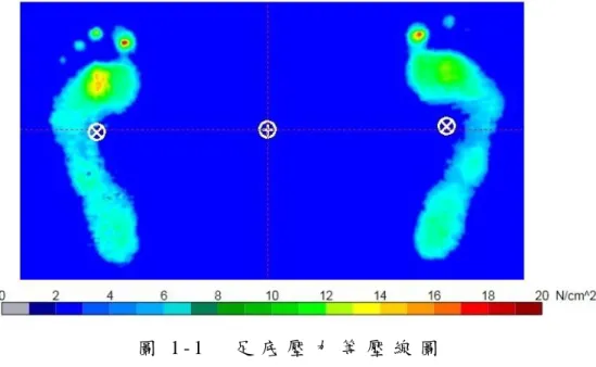 圖 1 - 1   足 底 壓 力 等 壓 線 圖  