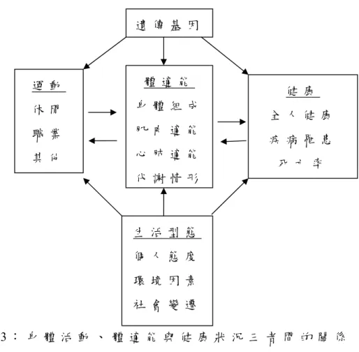 圖 2 - 3 ： 身 體 活 動 、 體 適 能 與 健 康 狀 況 三 者 間 的 關 係   規 律 運 動 對 健 康 的 影 響 ， 國 內 外 學 者 均 有 很 多 相 關 的 研 究 ： R o w a n d ( 1 9 0 0 ) 研 究 指 出 ： 持 續 身 體 活 動 習 慣 的 學 童 比 不 運 動 的 學 童 健 康 ， 如 慢 性 血 管 疾 病 、 肥 胖 症 、 糖 尿 病 或 感 冒 等 疾 病 ， 於 成 人 時 發 生 的 比 率 也 相 對 降 低 。 R i 
