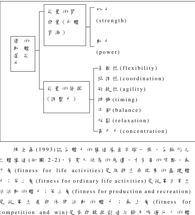 表 2 - 1   運 動 選 手 的 體 能 要 素 表 ( 引 自 林 正 常 ， 1 9 8 6 )   陳 全 壽 ( 1 9 9 3 ) 認 為 體 力 的 構 造 像 金 字 塔 一 樣 ， 為 錐 形 之 立 體 構 造 ( 如 圖 2 - 2 )， 有 寬 又 雄 厚 的 底 邊 ， 才 有 高 的 頂 點 。 最 下 層 ( f i t n e s s   f o r   l i f e   a c t i v i t i e s ) 是 維 持 生 命 現 象 的 基 礎 體 力 ； 第