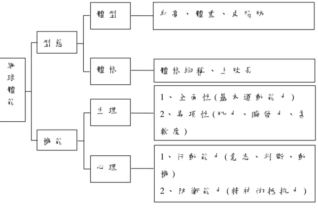 圖 2 - 4   網 球 體 能 結 構 分 類 圖 ( 引 自 賴 永 僚 ， 1 9 9 7 )   體 能 、 技 能 與 心 理 能 力 的 表 現 可 說 是 環 環 相 扣 ， 在 運 動 的 領 域 裡 是 缺 一 不 可 的 。 而 從 上 述 學 者 的 研 究 可 發 現 ， 人 類 的 身 體 型 態 、 生 理 機 能 與 身 體 素 質 是 提 升 技 能 表 現 的 基 本 結 構 ， 而 心 理 能 力 則 是 貫 串 體 能 和 技 能 ， 促 使 選 手 發 揮 高 度 