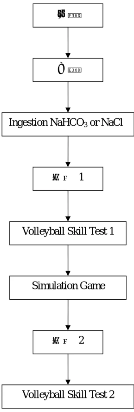 圖 3-2-2、男性受試者實驗流程圖 早餐 