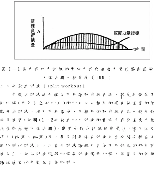 圖 1 — 1 集 中 式 肌 力 訓 練 的 實 施 方 式 與 速 度 力 量 指 標 動 態 變 化 模 式 圖 。 蔡 崇 濱 （ 1 9 9 1 ）   二 、 分 散 式 訓 練 （ s p l i t   w o r k o u t ）   分 散 式 訓 練 法 又 稱 為 不 同 類 動 作 組 合 法 ， 就 是 把 發 展 不 同 肌 群 ( 可 包 含 全 身 肌 肉 ) 的 肌 肉 以 不 相 同 的 項 目 做 適 當 的 組 數 安 排 訓 練 ， 採 用 不 同 器 械 、 