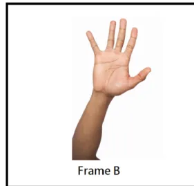 Figure 6. Frames with different hand number