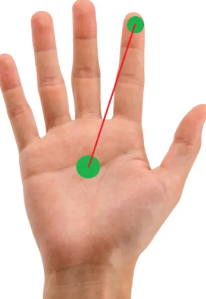 Figure 2. Calculation of normalized finger coordinate