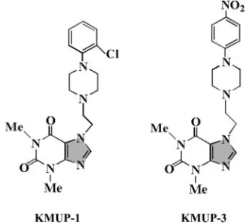 Fig. 1. Chemical structures of KMUP-1 and KMUP-3. The shadow ring indicates imidazole moiety.
