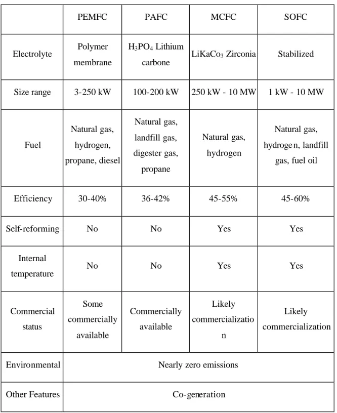 Table 2-1 The comparisons among different types of fuel cells 