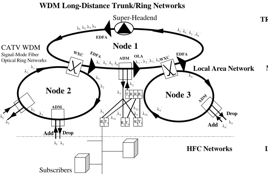 Figure 1.2 Architecture of WDM long-distance Trunk and Ring Networks. 