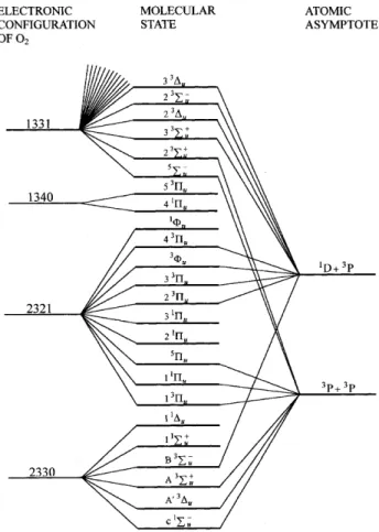 Fig. 2. A par tial cor re la tion di a gram of ungerade states  of an ex cited O 2  mol e cule